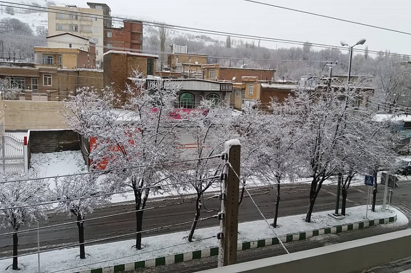 تصاویری از آغاز بارش برف در اشنویه