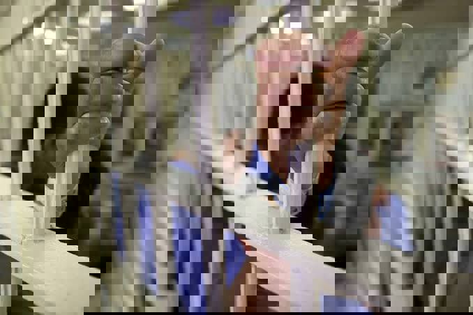 سرقت میلیاردی پسر از پدر و خوشگذرانی در جزیره کیش