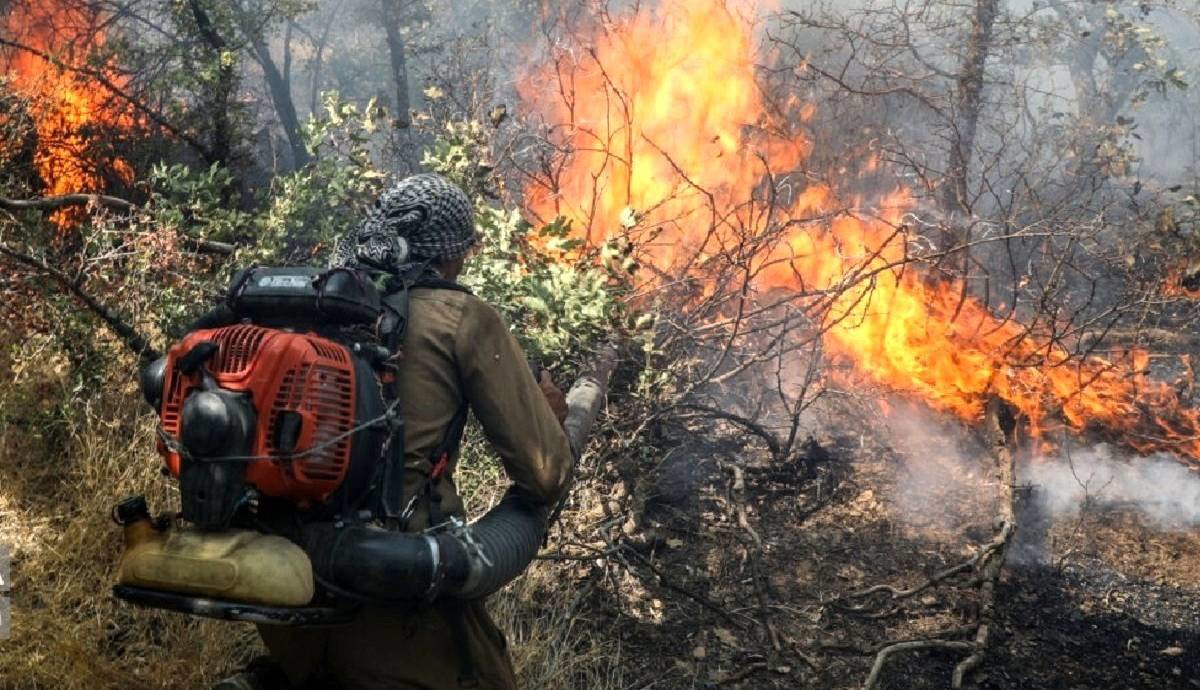 وقوع ۲۵۰۰ فقره آتش‌سوزی در منابع طبیعی طی سال جاری