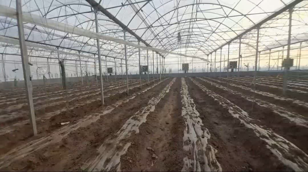 افتتاح گلخانه پیشرفته در شهرستان جعفرآباد قم