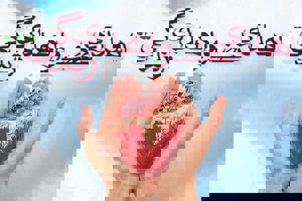 هفتمین اهدای عضو سال ۱۴۰۴ در قم ثبت شد