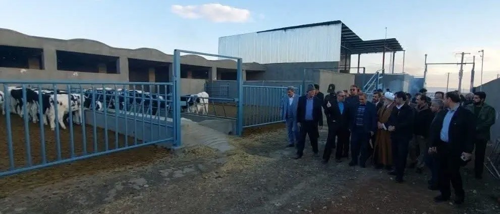 تقویت تولید دام سنگین با افتتاح واحد دامداری جدید در روستای پاچیان قم