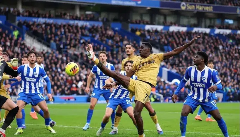 پیروزی مهم پالاس در خانه مرغ‌های دریایی