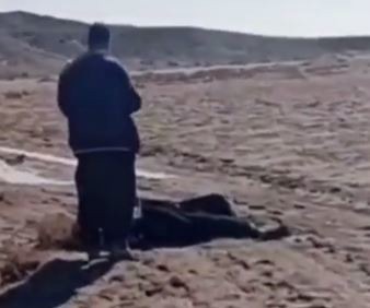 نجات ۹ تبعه غیرمجاز از مرگ توسط مرزبانان