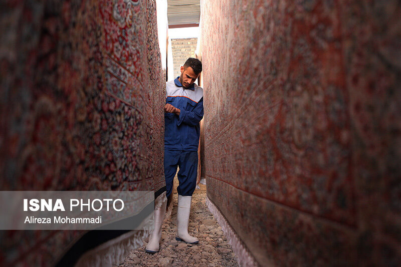 نرخ قالیشویی‌های قم در آستانه نوروز چقدر است؟