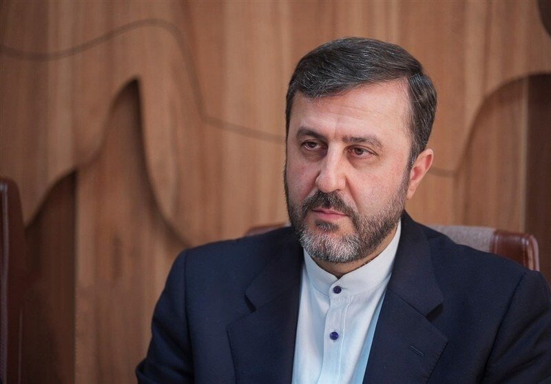 غریب‌آبادی: تصمیم ایرلند برای ممنوعیت واردات کالا از شهرک‌های اسرائیل، گامی شایسته تقدیر است