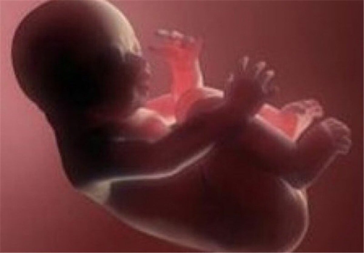 افزایش سقط‌ جنین خودخواسته؛ هزاران روایت ناگفته از ترس، فشار و پشیمانی