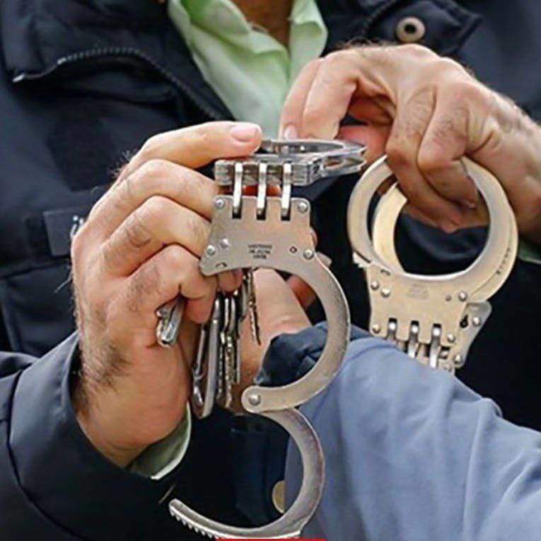پلیس نیش «زنبور دیوار» را کشید