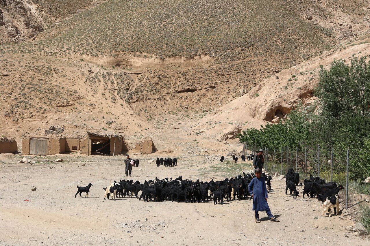 یوناما در روز جهانی مبارزه با بیابان‌زایی به بحران آب در افغانستان تأکید کرد