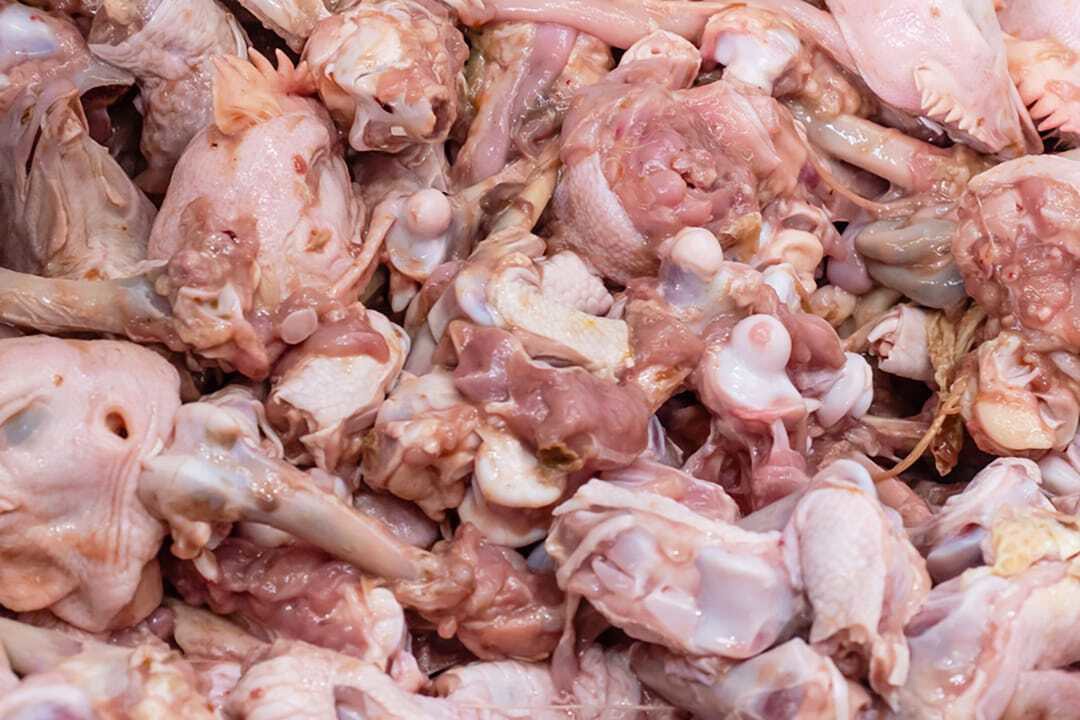 کشف و معدوم‌سازی یک‌هزار و ۴۰۰ کیلوگرم اسکلت مرغ غیربهداشتی در قم