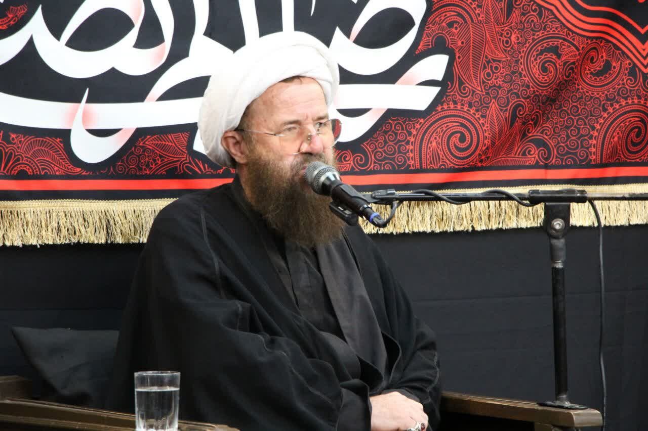 بیگدلی: مکتب تشیع با مجاهدت امام رضا(ع) در بلاد اسلامی گسترش یافت