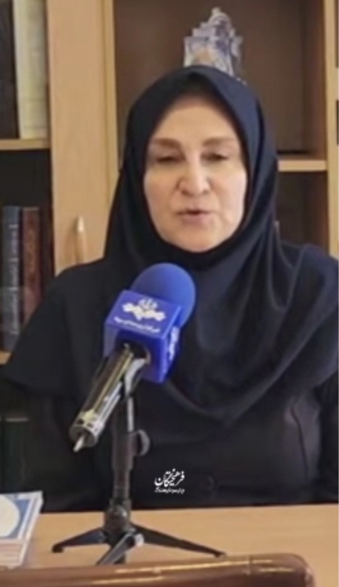 معاون واژه‌گزینی فرهنگستان زبان و ادب فارسی: نگویید «لانچر» بگویید «پرتابگر» | آخرین خبر
