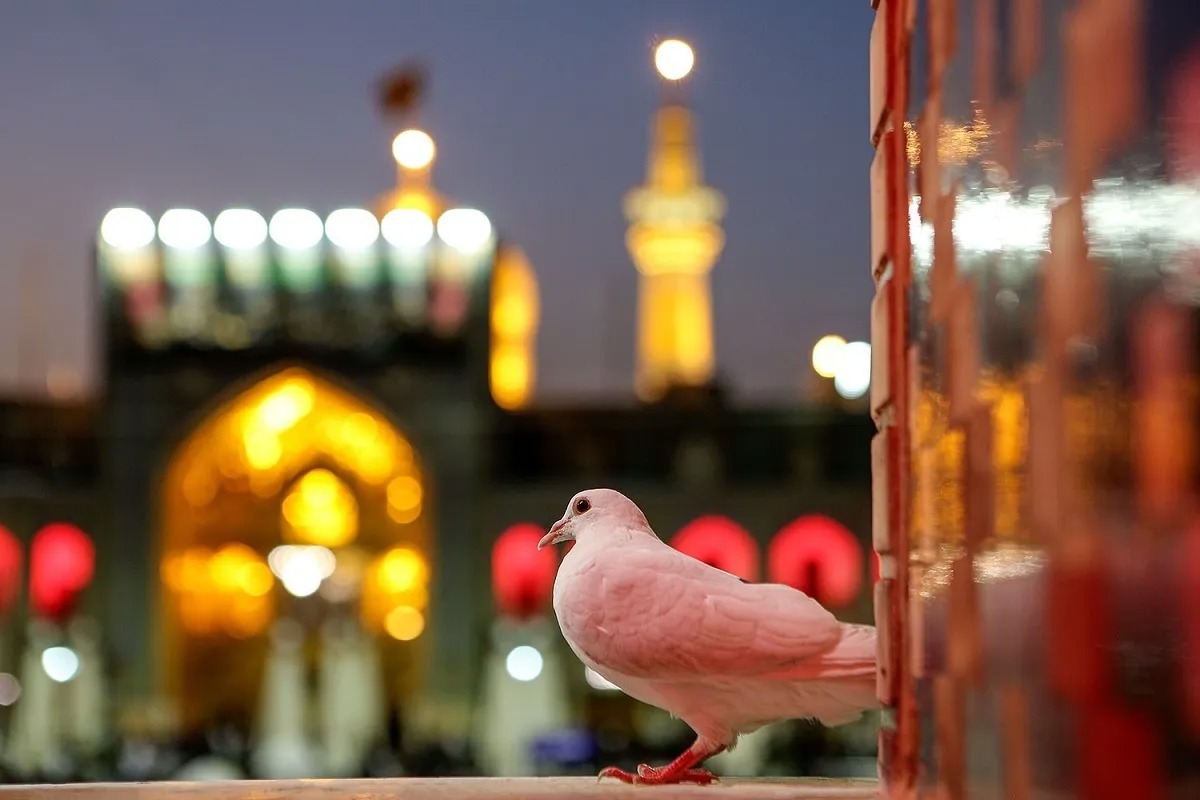 شهیدی که به آرزویش زیارت حرم مطهر رضوی رسید