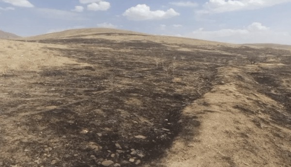 مهار آتش‌سوزی در مراتع روستای نورآباد شازند