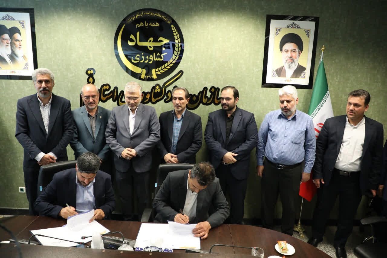 فناوری انتقال جنین برای اصلاح نژاد دام در قم وارد مرحله اجرا شد
