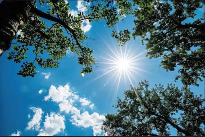 کاهش نسبی دما در استان یزد