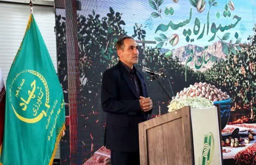 پیش‌بینی برداشت ۹ هزار تن پسته خشک از باغ‌های قم