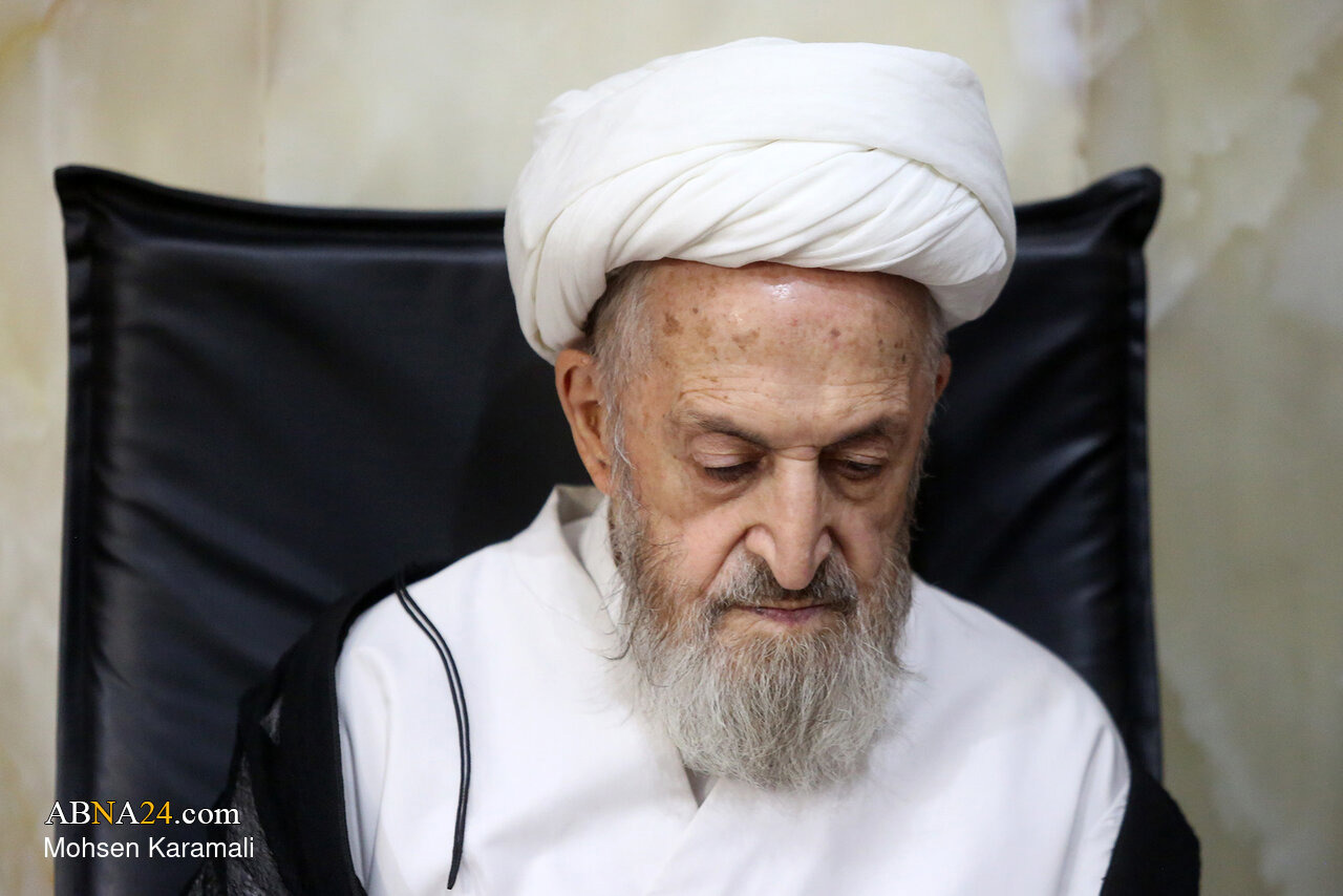 آیت‌الله شبیری زنجانی از ارکان حوزه‌های علمیه بود