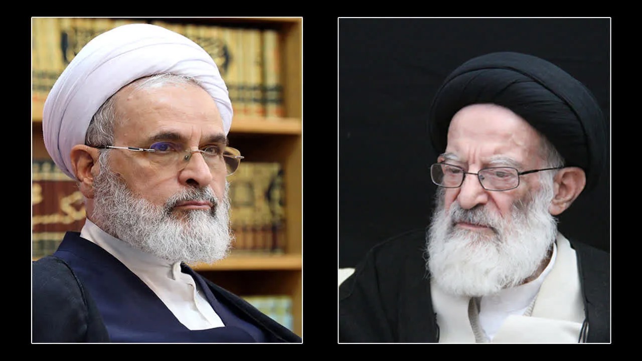 خدمات آیت الله شبیری زنجانی ستایش برانگیز است/ تعطیلی دروس حوزه تا پایان هفته