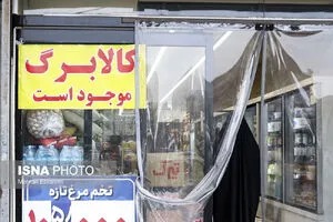 تخصیص کالابرگ جدید از ۱۵ مهر؛ جزئیات این هفته اعلام می‌شود