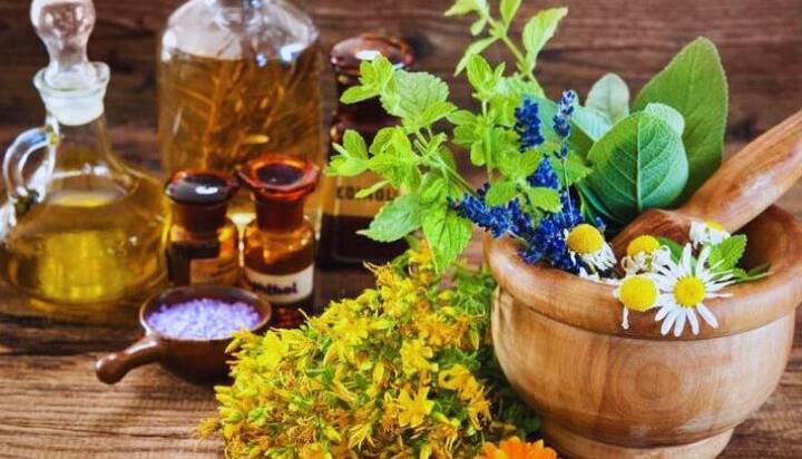 داروی گیاهی فقط باید از مسیر داروخانه عرضه شود
