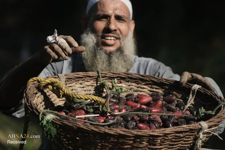 عصر قم