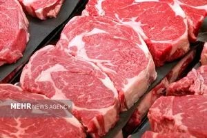 افزایش عرضه گوشت گرم و منجمد با آغاز پاییز