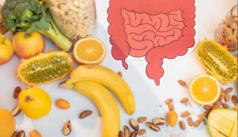 برای سلامت روده چی بخوریم؟/ ۱۵ انتخاب گیاهی مفید برای سلامت روده