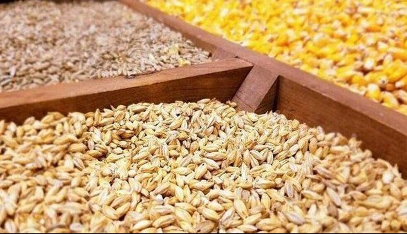 کشف و توقیف ۵.۶ تن انواع فرآورده و نهاده دامی قاچاق در قشم