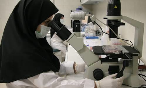 پژوهشگاه رویان وارد مرحله جدیدی از توسعه ژن‌درمانی برای بیماری‌های صعب‌العلاج شد