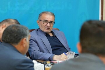 تسهیلات ویژه ارزی و ریالی برای تکمیل پتروشیمی دهدشت اختصاص یافت